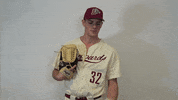 Baseball Roll Pards GIF by Lafayette Leopards