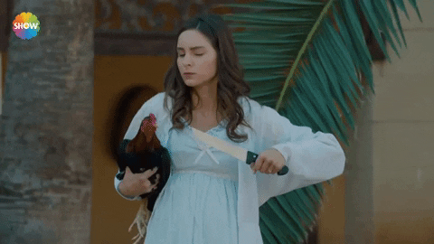 Yeni Gelin GIF by Show TV