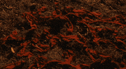 Knocked Loose Metal GIF by Pure Noise Records