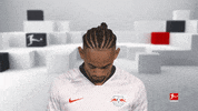 Happy Red Bulls GIF by Bundesliga