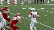 miami university GIF by Miami RedHawks Football
