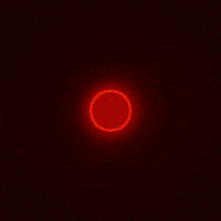 real-time animation GIF by erik axel eggeling