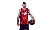 Liga Endesa Basketball Sticker by ACB