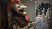 viceland GIF by VICE WORLD OF SPORTS