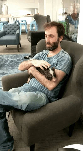 humans pigs GIF by YouNow