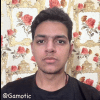 Gamotic ok brother comeback 0 GIF