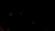 Logo Fire GIF by THE BEARD STRUGGLE