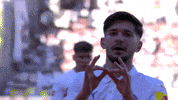 Bundesliga Ksv GIF by Holstein Kiel