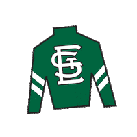 Sport Silk Sticker by Kentucky Derby