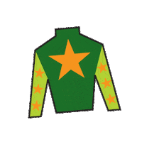 Sport Silk Sticker by Kentucky Derby