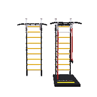 Entreno Dominadas Sticker by Trainer4Fit