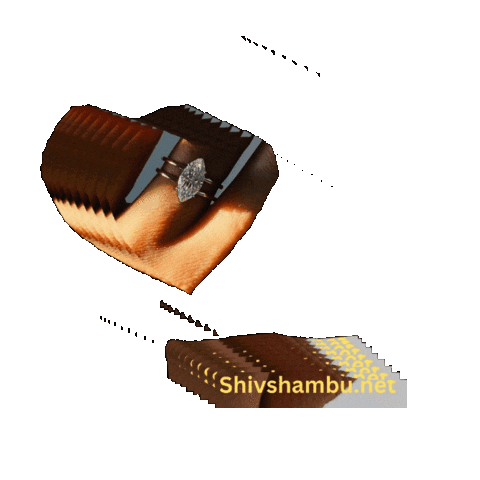 Life Love Sticker by Shiv Shambu