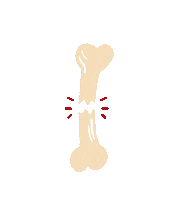 Bones Shockwave Sticker by PulseVet