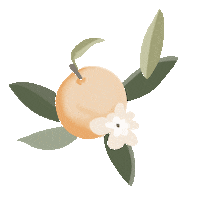 Clementine Sticker by Mad About Style