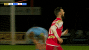 Celebrate Team Spirit GIF by Cliftonville Football Club