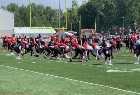 jburns1810 giphyupload GIF