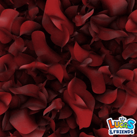 Text gif. Text, "Thank you," emerges after a bunch of red rose petals part open.