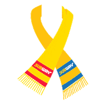 Football Ecuador Sticker by Subway Colombia