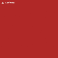 Happy New Year GIF by Northwest Career College