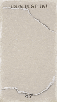 This Just In Pop GIF