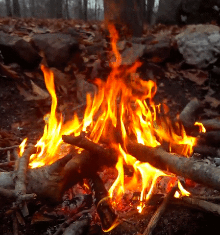 fire wood GIF