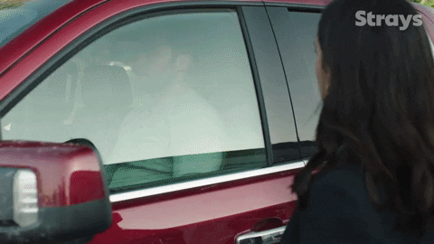 Season 2 Cbc GIF by Strays