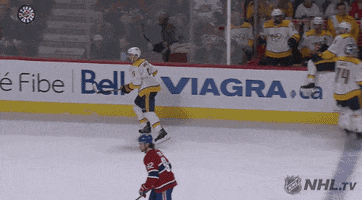 ice hockey lol GIF by NHL