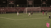 St Johns Goal Celebration GIF by St. John's Red Storm