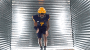 Toledo Football GIF by Toledo Rockets