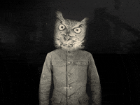 Marc Rodriguez Art GIF