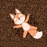 Good Morning Gm GIF by Raposa Coffee