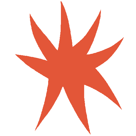 Star Wow Sticker by Big Limb Lady