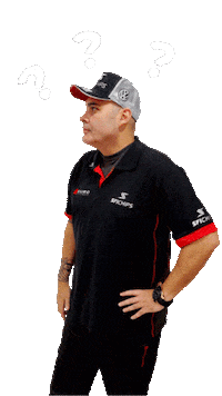 Reprogramação Sticker by SFI CHIPS