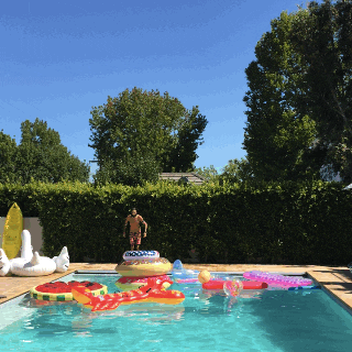 GIF by GIPHY CAM