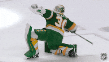 Happy Minnesota Wild GIF by NHL