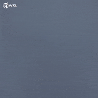 Point Tennis GIF by WTA