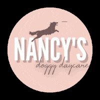 nancysdoggydaycare ndd nancys doggy daycare nancys doggie daycare GIF