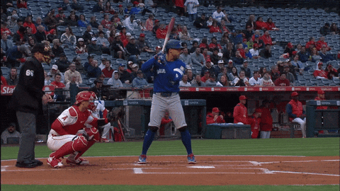 Home Run Baseball GIF by Toronto Blue Jays