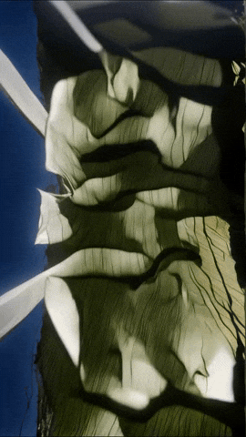 Space Sd GIF by Aleksey Efremov