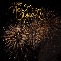 Happy New Year Celebration GIF by Golden Way Media Films