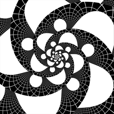 black and white spiral GIF