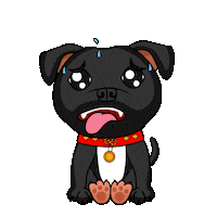 Staffordshire Bull Terrier Staffy Sticker by SBT1935