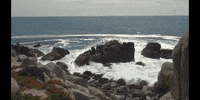 Earth Science Education GIF by DIIMSA Stock