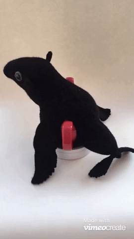TeaCosyFolk teacosyfolk tea cosy knitted sea lion GIF