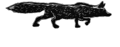 cider whatthefox Sticker by Apple Fox