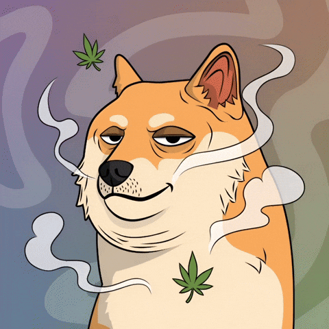 Shiba Inu Smoking GIF by Doge Pound