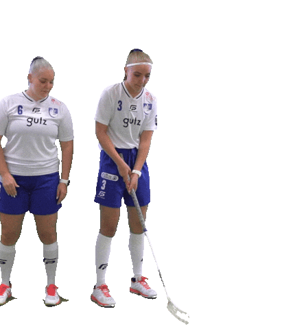 Floorball Salibandy Sticker by F-liiga