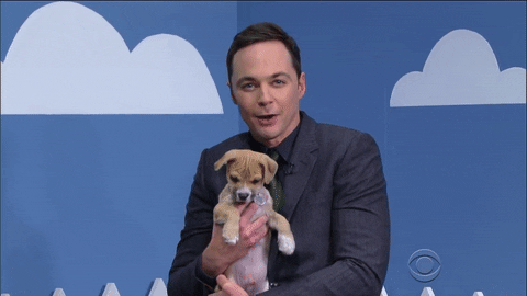 dog kiss GIF by The Late Show With Stephen Colbert