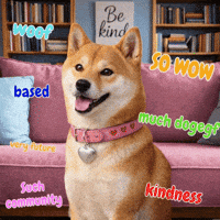 Based GIF by DogeGF