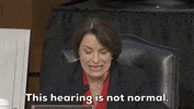 Amy Klobuchar GIF by GIPHY News